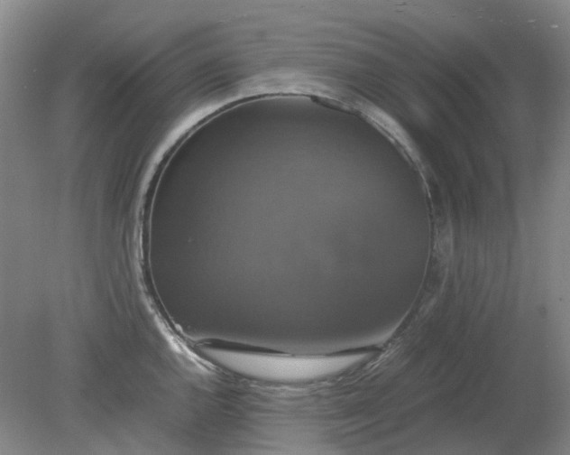 X0000079321144200612011835