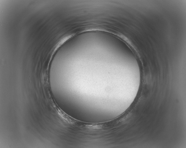 X0000079321145200612011835