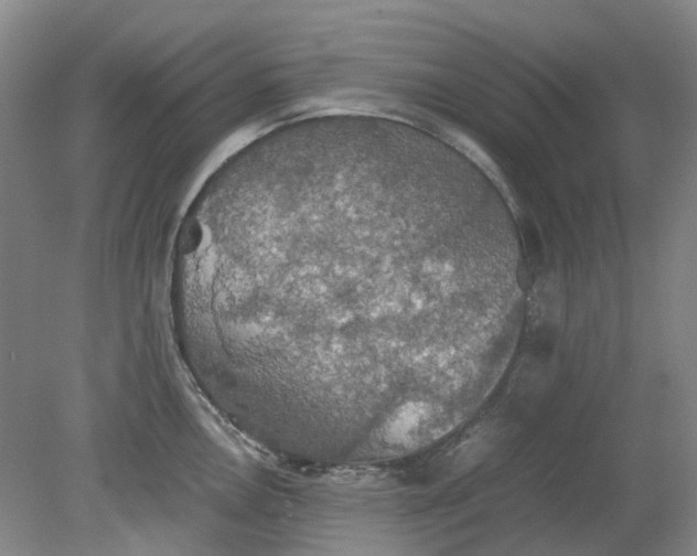 X0000079321146200612011835