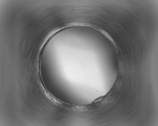 X0000079321148200612011835