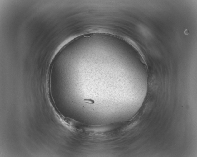 X0000079321149200612011835