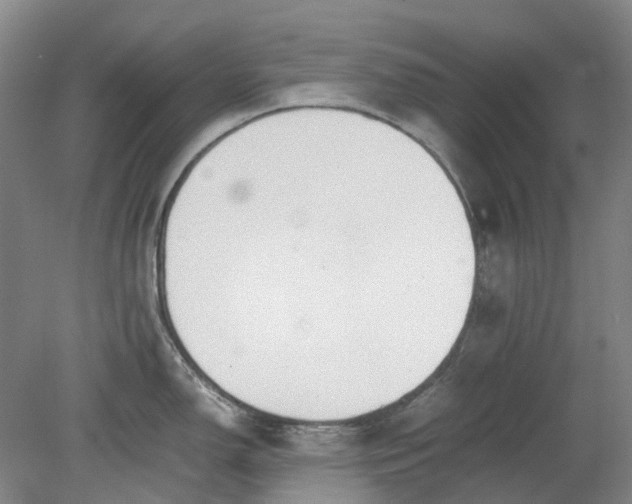 X0000079321150200612011835