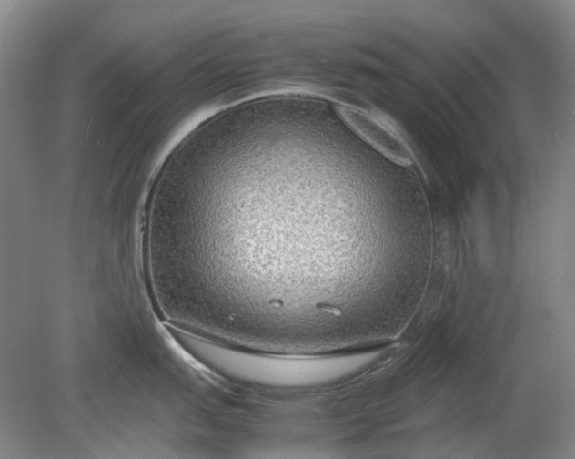 X0000079321151200612011835