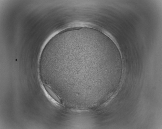 X0000079321152200612011835