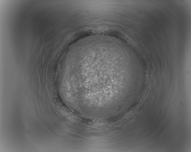 X0000079321153200612011835