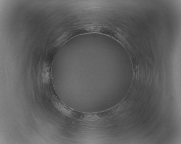 X0000079321154200612011835