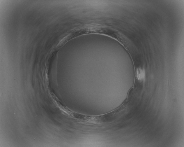 X0000079321155200612011835