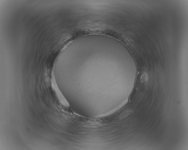 X0000079321156200612011835