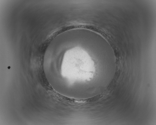 X0000079321157200612011835