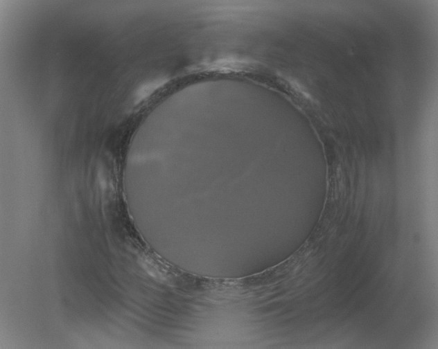 X0000079321158200612011835