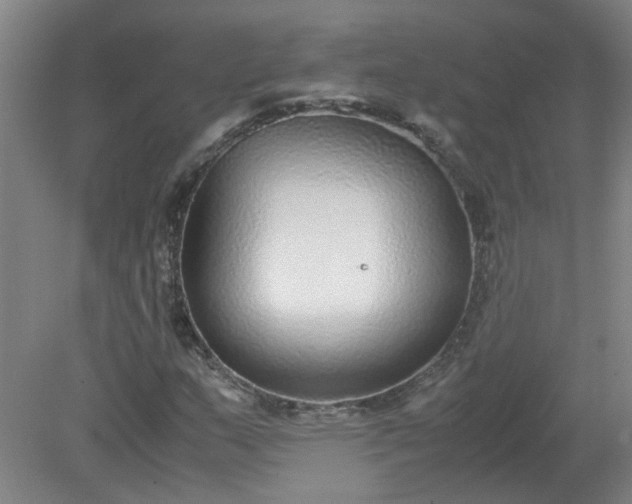 X0000079321159200612011835