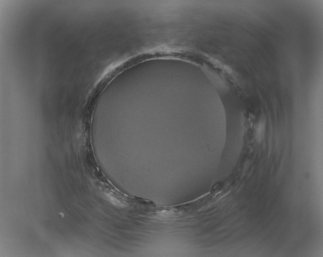 X0000079321160200612011835