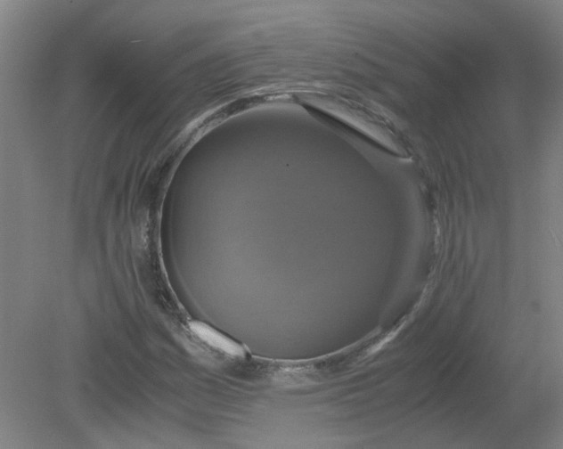 X0000079321161200612011835