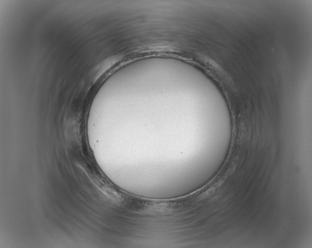 X0000079321162200612011835