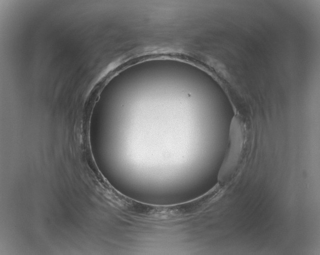 X0000079321165200612011834