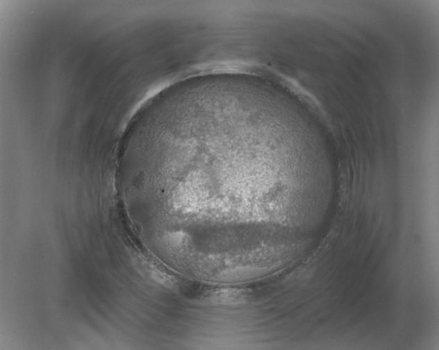 X0000079321166200612011834