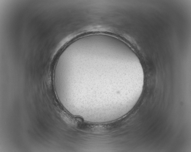 X0000079321167200612011834