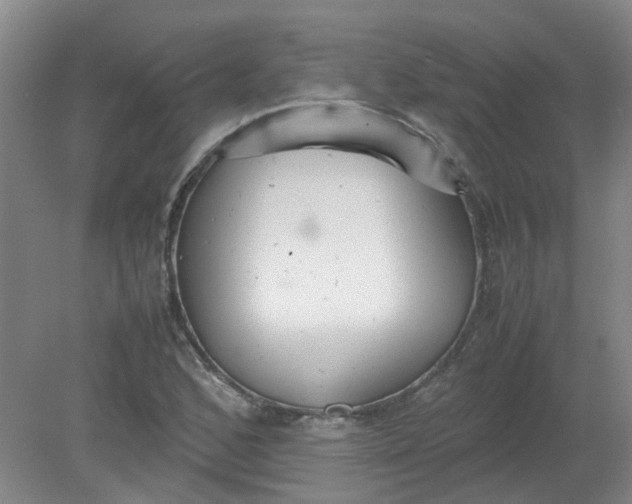 X0000079321168200612011834