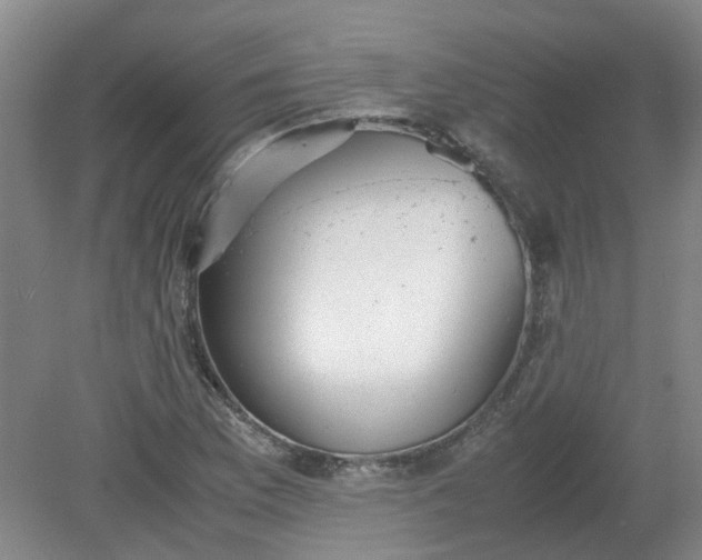 X0000079321169200612011834