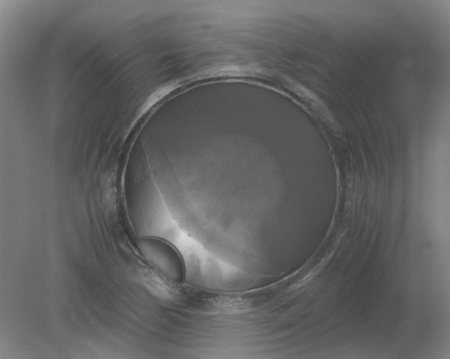 X0000079321170200612011834