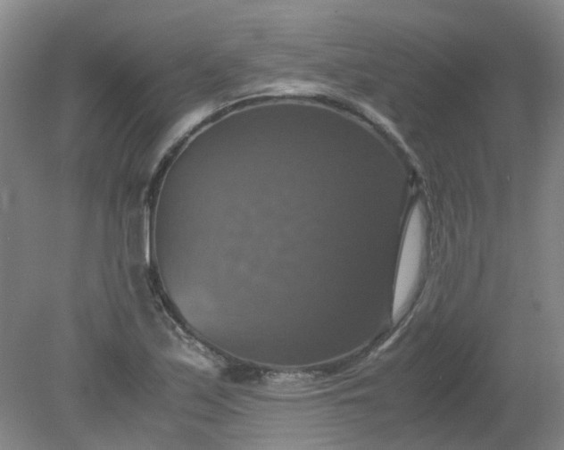 X0000079321171200612011834