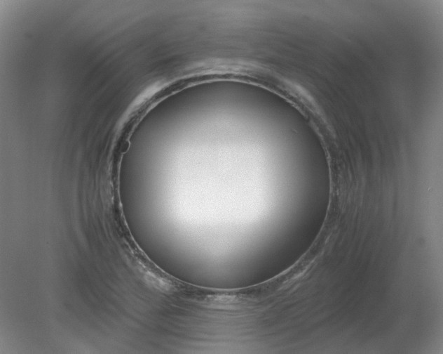 X0000079321172200612011834