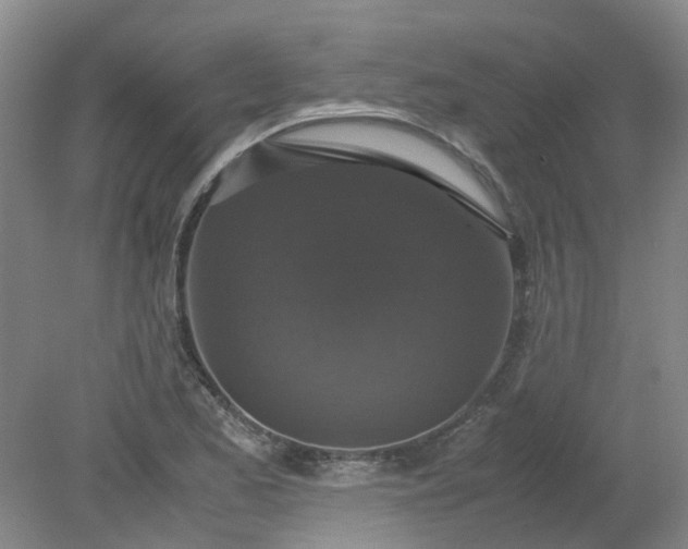 X0000079321173200612011834