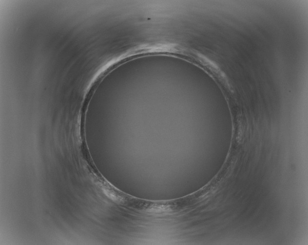 X0000079321174200612011834