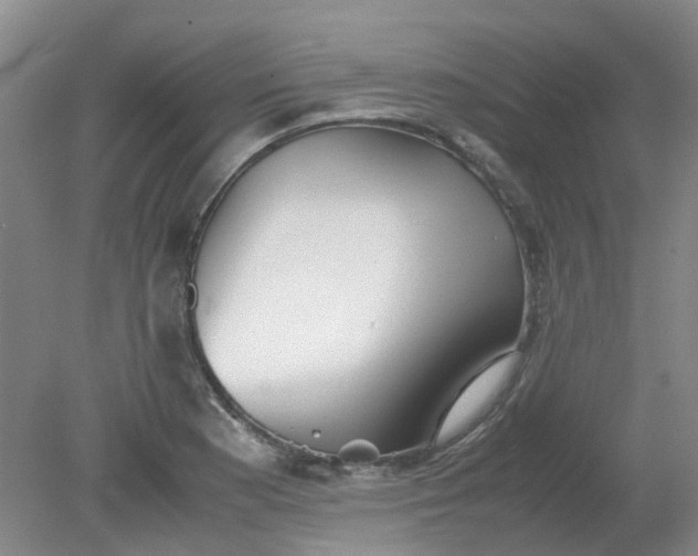 X0000079321177200612011834