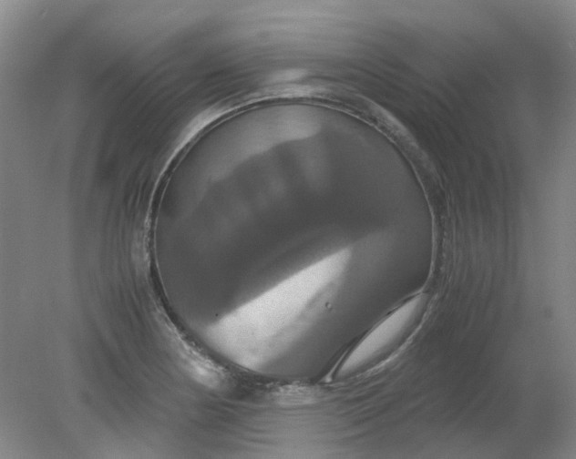 X0000079321178200612011834