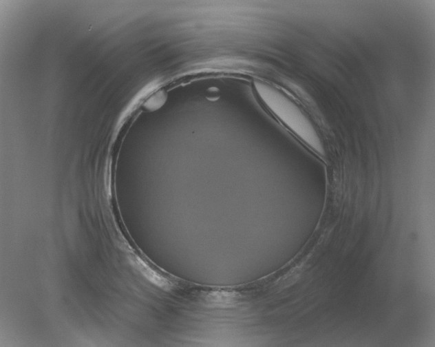 X0000079321180200612011834