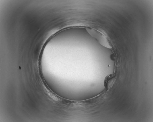 X0000079321181200612011834