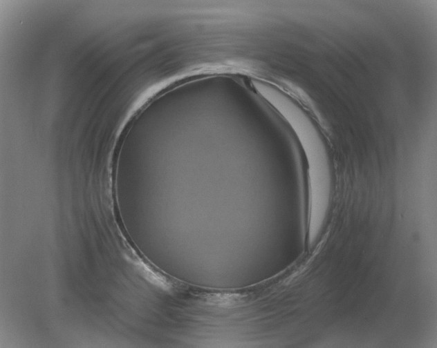 X0000079321184200612011834