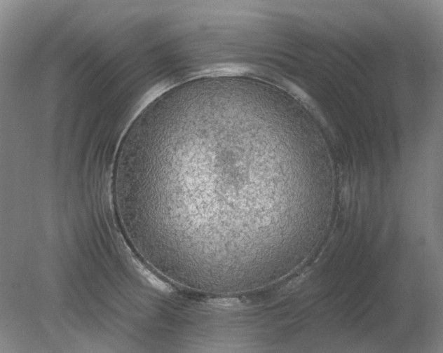 X0000079321186200612011834