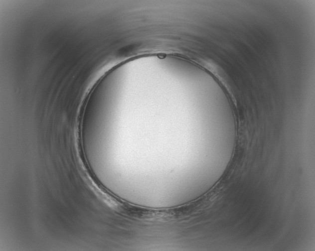 X0000079321187200612011834