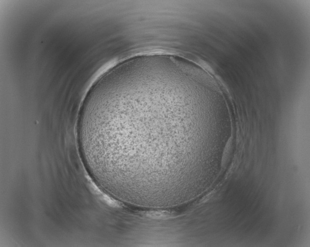 X0000079321189200612011834