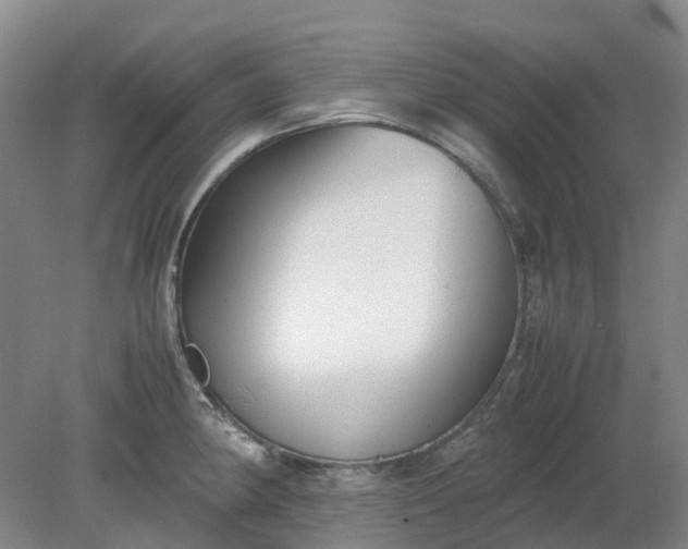 X0000079321190200612011834