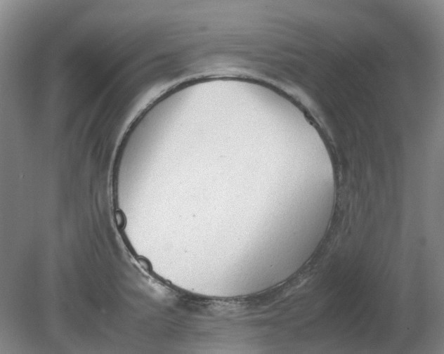 X0000079321191200612011834