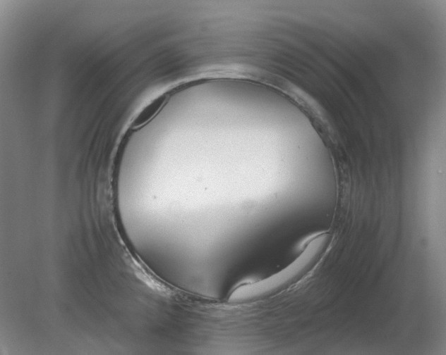 X0000079321192200612011834