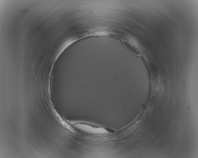 X0000079321194200612011834