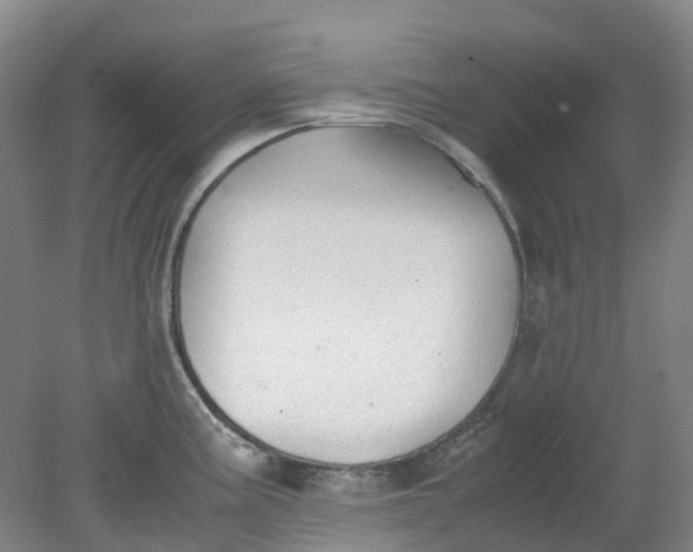 X0000079321195200612011834