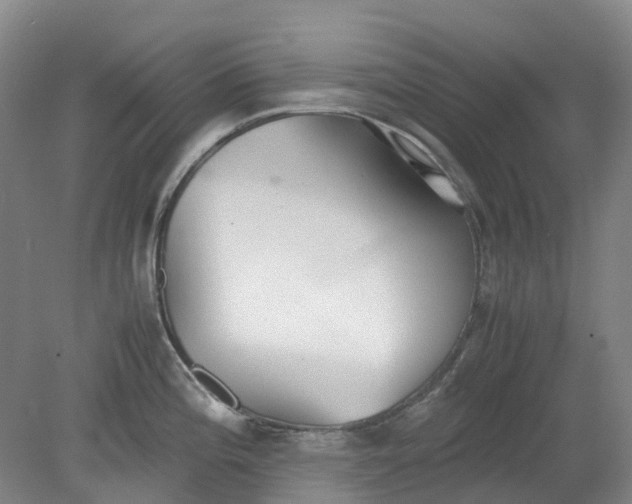 X0000079321196200612011834