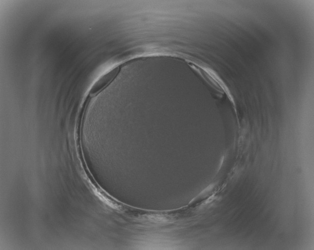 X0000079321197200612011834