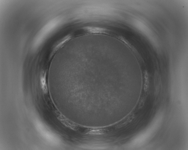 X0000079321198200612011834