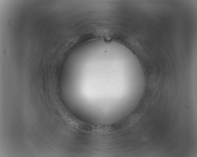 X0000079321201200612011833