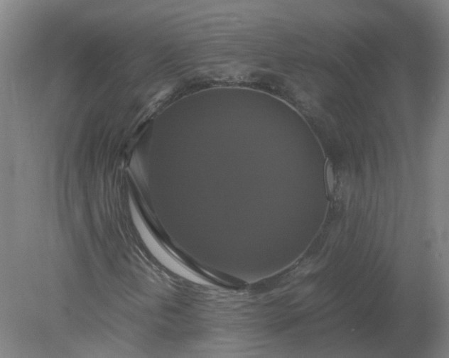 X0000079321202200612011833