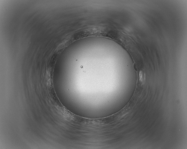 X0000079321203200612011833