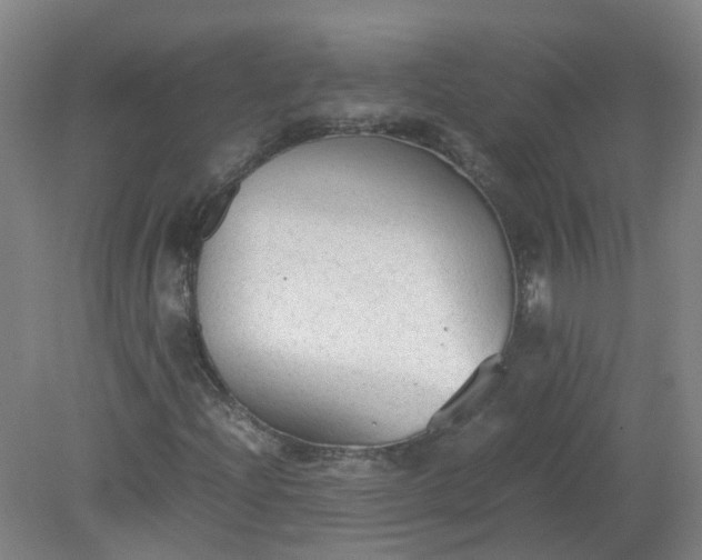 X0000079321204200612011833