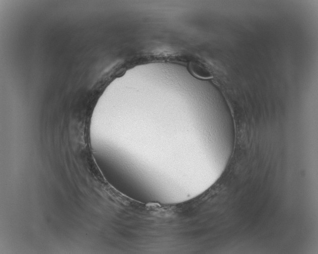 X0000079321205200612011833