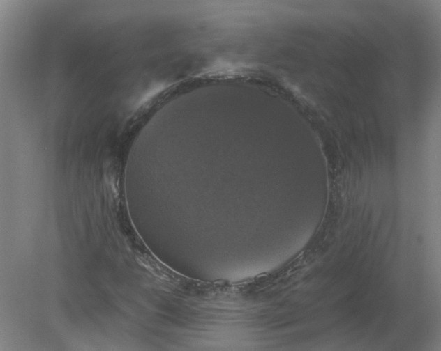 X0000079321206200612011833